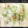 The Silence Of Nature ~ art transfers 