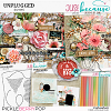 Unplugged Bundle by JB Studio