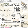 A Journey of Colors - Wordart