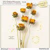 CU Dried flowers Vol.8 (Jasmin-Olya Designs)