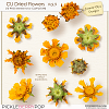 CU Dried flowers Vol.9 (Jasmin-Olya Designs)