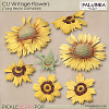 CU Vintage Flowers