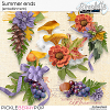 Summer ends (embellishments) by Simplette