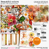 Beautiful colors - bundle + FWP Transfer brushes