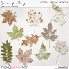 Season of Change - Painted Leaves