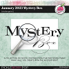 January 2023 Mystery Box