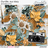 Our life, our story (embellishments) by Simplette