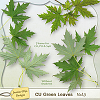 CU Green Leaves Vol.3 (maple)