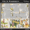 Life Is Wonderful ~ Art Templates Album by TirAmisu design 