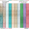 Young Spirit Solids and Ombre papers