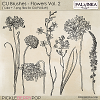 CU Brushes - Flowers 2