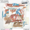 Torn papers (CU elements) 285 by Simplette