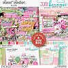 Sweet Sixteen Bundle by JB Studio