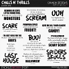 Chills n' thrills - word art