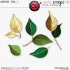 Leaves VOL1 - CU - by Neia Scraps