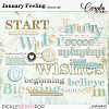 January Feeling-Word art