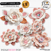 Crochet Flowers VOL1 - CU - by Neia Scraps