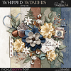 Whipped Wonders: Mini Kit