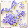 CU Flowers Vol.86 (Jasmin-Olya Designs)