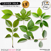 Leaves VOL8 - CU - by Neia Scraps