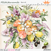 MEDITERRANEE THE KIT