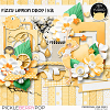 Fizzy Lemon Drop | Kit