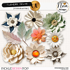 Flowers VOL48 - CU - by Neia Scraps