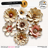 Flowers VOL49 - CU - by Neia Scraps