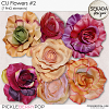 CU flowers #2 by Sekada Designs