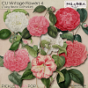 CU Vintage Flowers 6