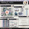 Moonlit Soul: Bundle