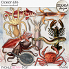 Ocean Life [ocean creatures] by Sekada Designs