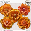 CU flowers #3 by Sekada Designs 