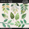 Leaves V1 [CU] by Cindy Ritter