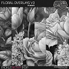 Floral Overlays V3 [CU] by Cindy Ritter 