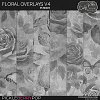 Floral Overlays V4 [CU] by Cindy Ritter 