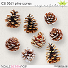 CU 0261 PINE CONES