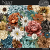 Nest [Flowers and Foliage] by Cindy Ritter