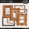 Frames V2 by Cindy Ritter [CU] 