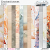 Cracked Leaves (papers) by Simplette