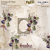 Echoes Of Time Freebie - (free for limited time)