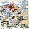 A Beautiful Story: January Elements by JB Studio