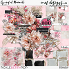 Graceful Moments Bundle