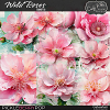 Wild Roses [Transfers] by Cindy Ritter