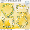When Life Gives You Lemons Frames by Ilonka's Designs