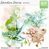 Shoreline Stories Transfers