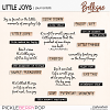 LITTLE JOYS | journal bits by Bellisae