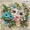Essence Of Spring Kit