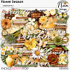 Flower Season - Elements - by Neia Scraps