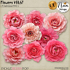 Flowers VOL67 - CU - by Neia Scraps